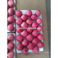 Fresh Fuji Apple 2017 crop